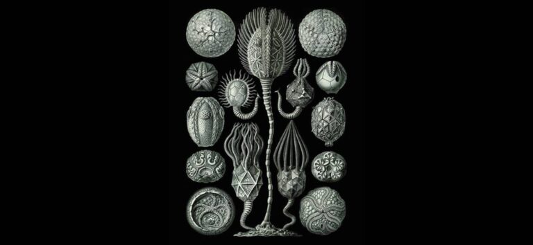 Metafisica cancerosa, immagine di copertina